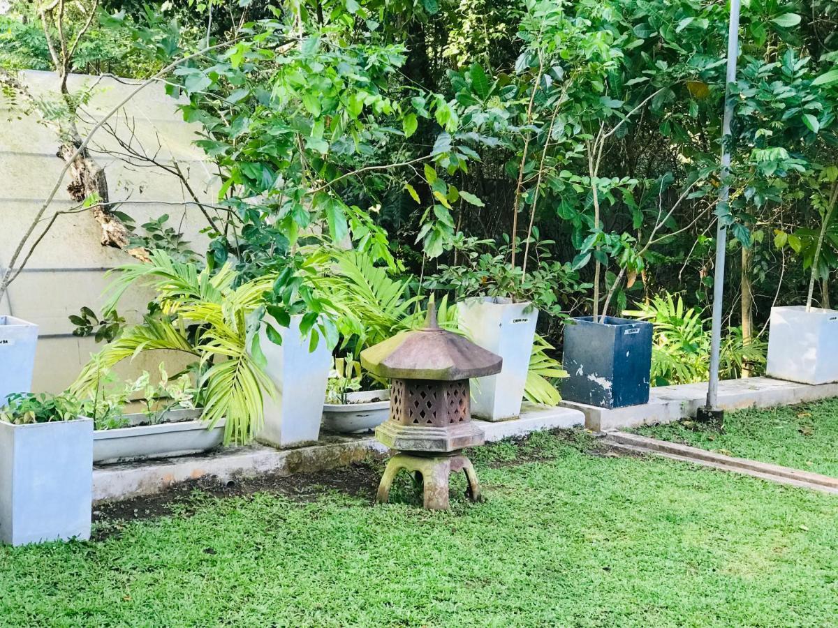 Ceylon Kingsmen Garden Hotel - Katunayake Негомбо Екстериор снимка