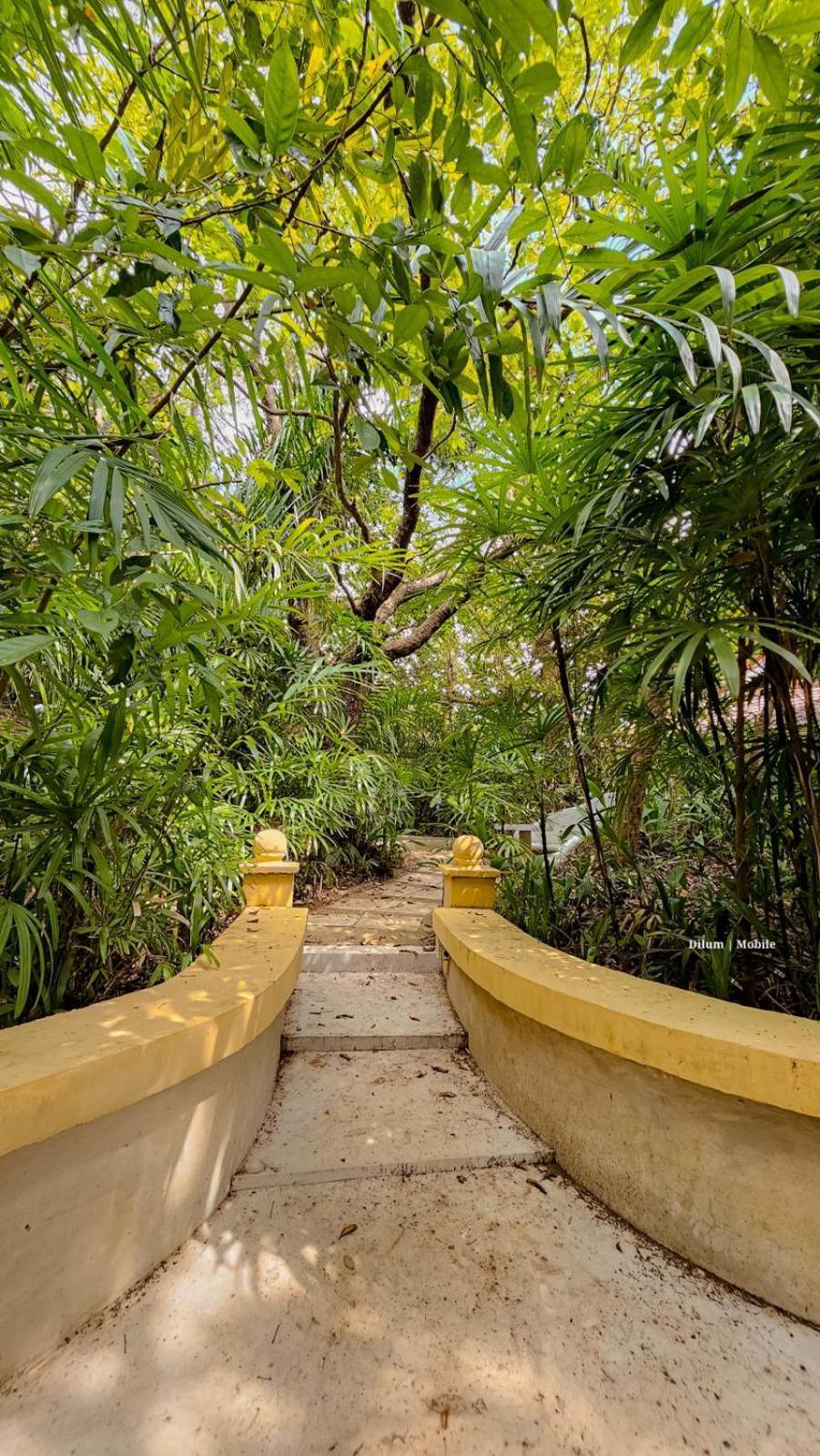 Ceylon Kingsmen Garden Hotel - Katunayake Негомбо Екстериор снимка