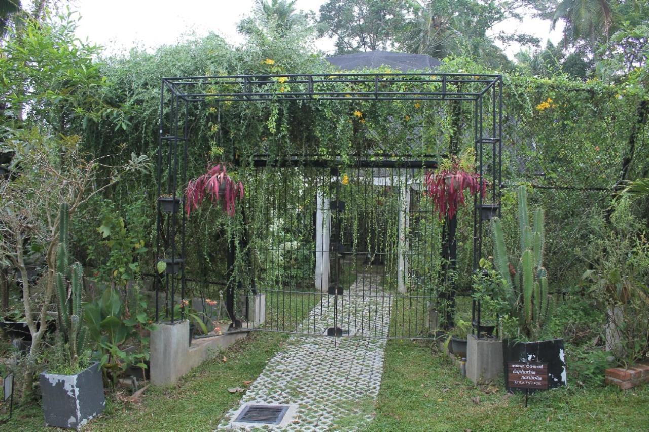 Ceylon Kingsmen Garden Hotel - Katunayake Негомбо Екстериор снимка